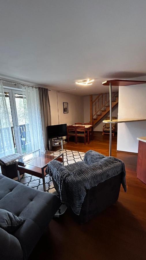 Nad Grajcarkiem Pieniny Apartment ชซาฟนีซา ภายนอก รูปภาพ