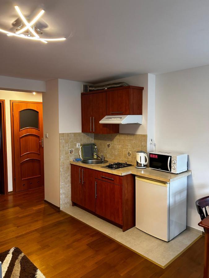 Nad Grajcarkiem Pieniny Apartment ชซาฟนีซา ภายนอก รูปภาพ