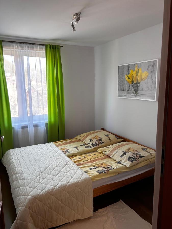 Nad Grajcarkiem Pieniny Apartment ชซาฟนีซา ภายนอก รูปภาพ